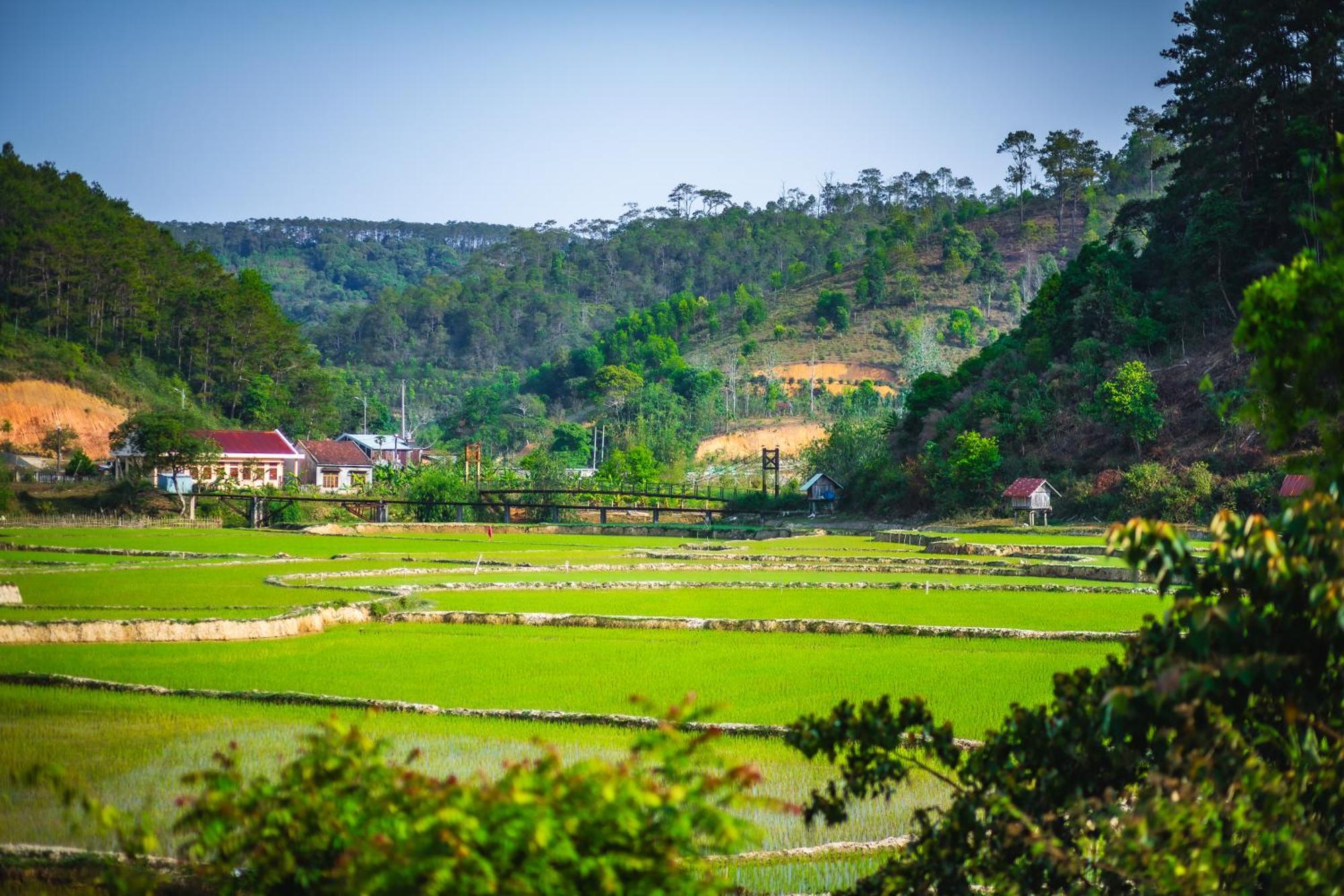 Nha Trong Ban - Homestay Mang Den Kon Von Kla Exteriör bild